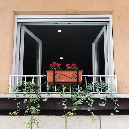 Ziani Vatican Boutique Penzion